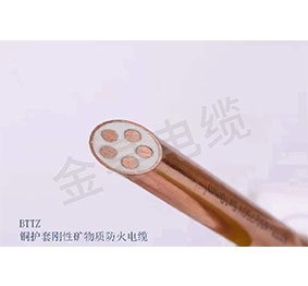 通用的占位符縮略圖
